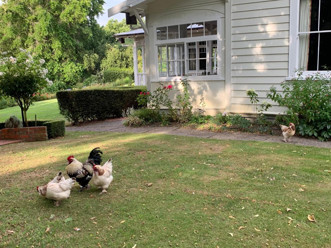 Wallingford Homestead Екстериор снимка