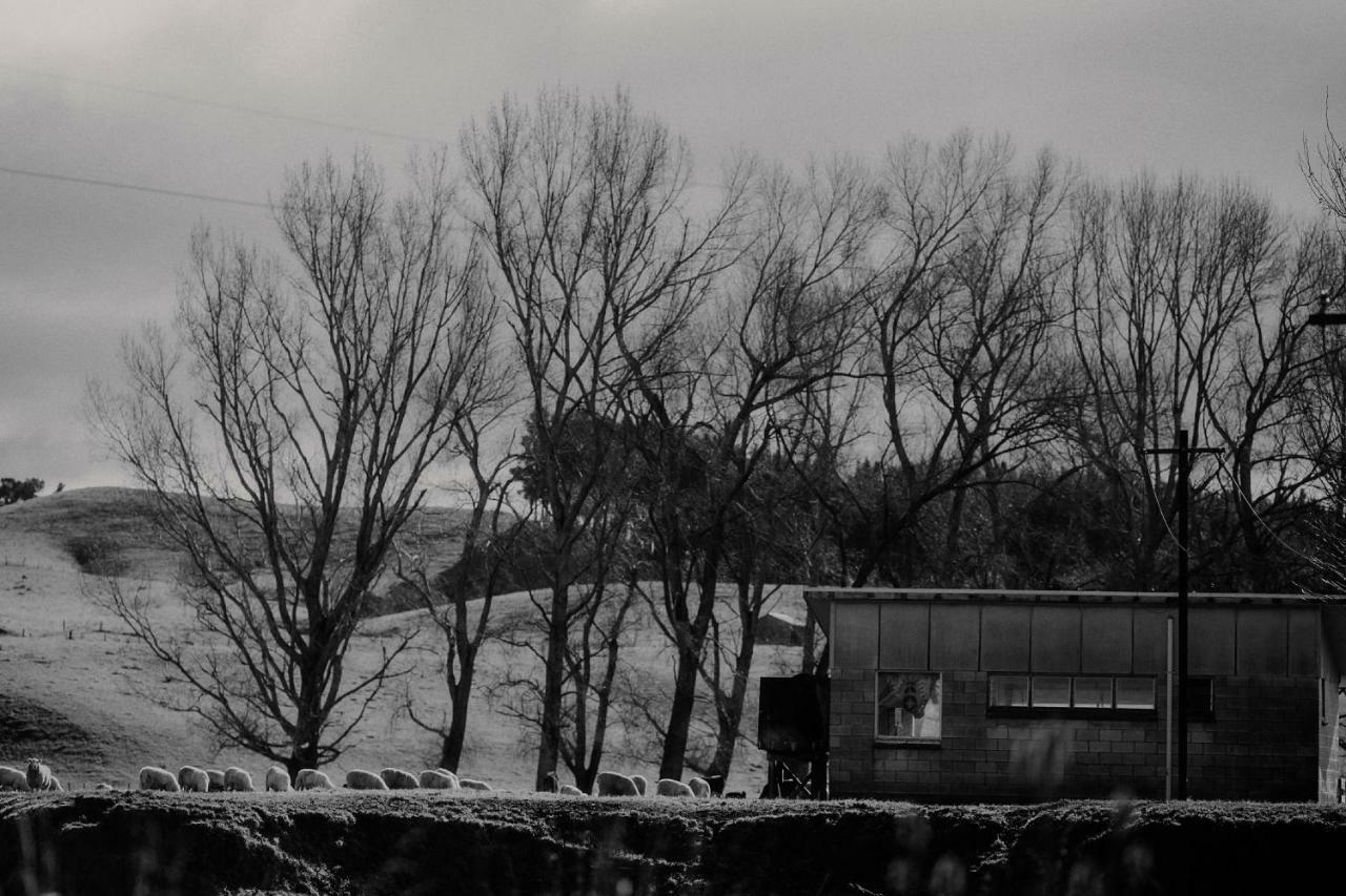 Wallingford Homestead Екстериор снимка