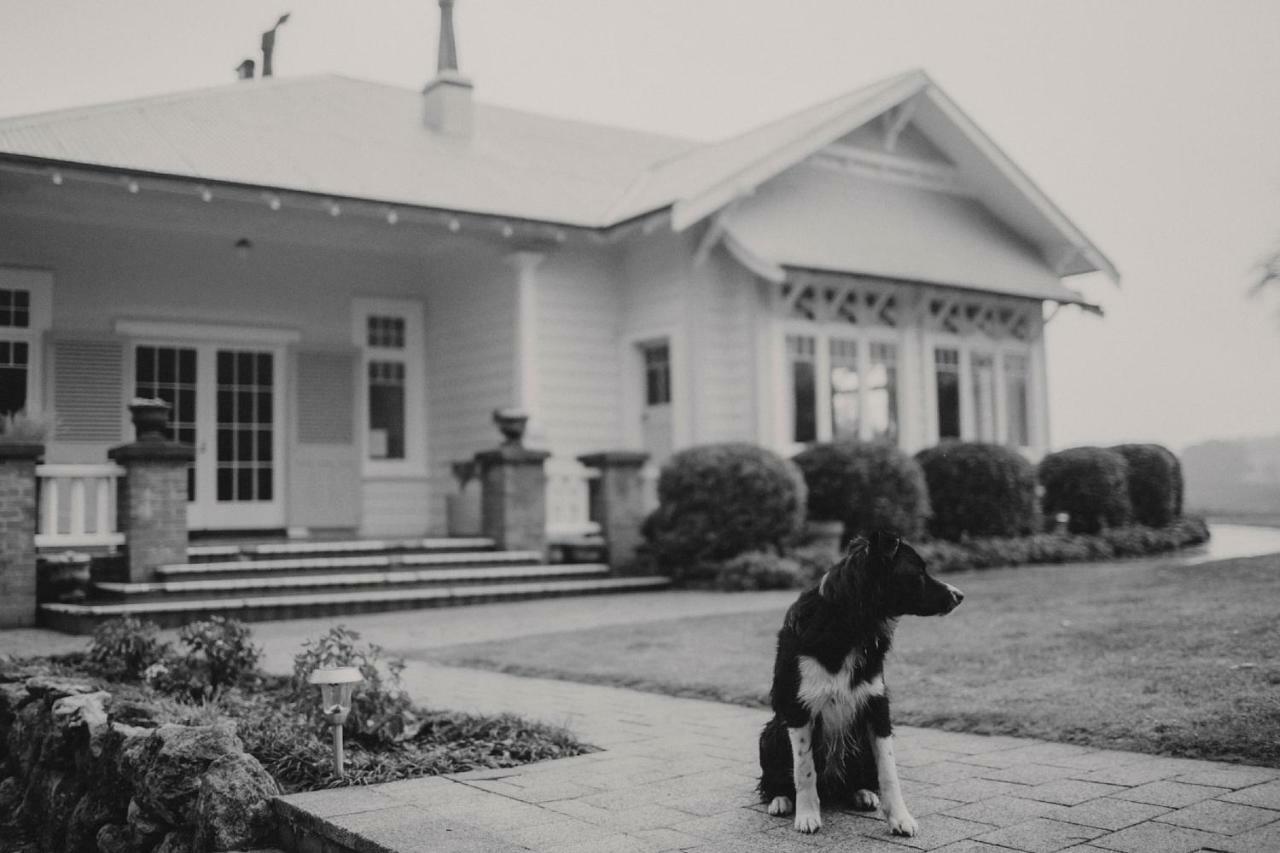 Wallingford Homestead Екстериор снимка